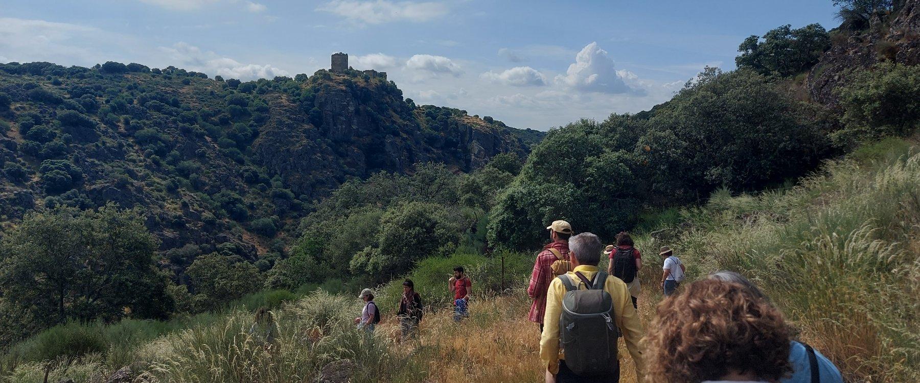 “Ninho Globo”: um novo olhar sobre a paisagem do Geopark Naturtejo inaugurado em Salvaterra do Extremo