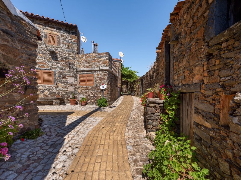 Oliveiras