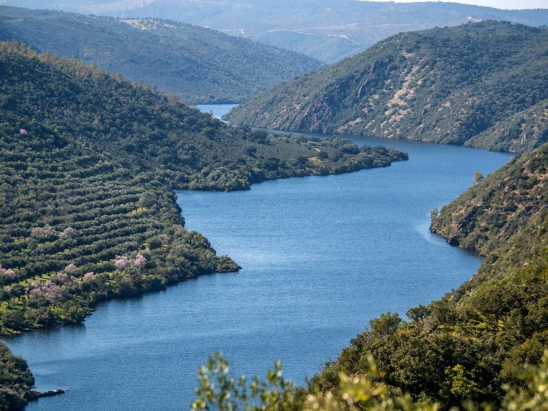 Parque Natural Tejo Internacional