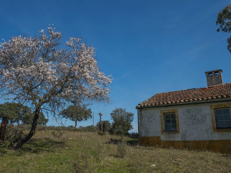 Antigo Posto da Guarda Fiscal dos Alares
