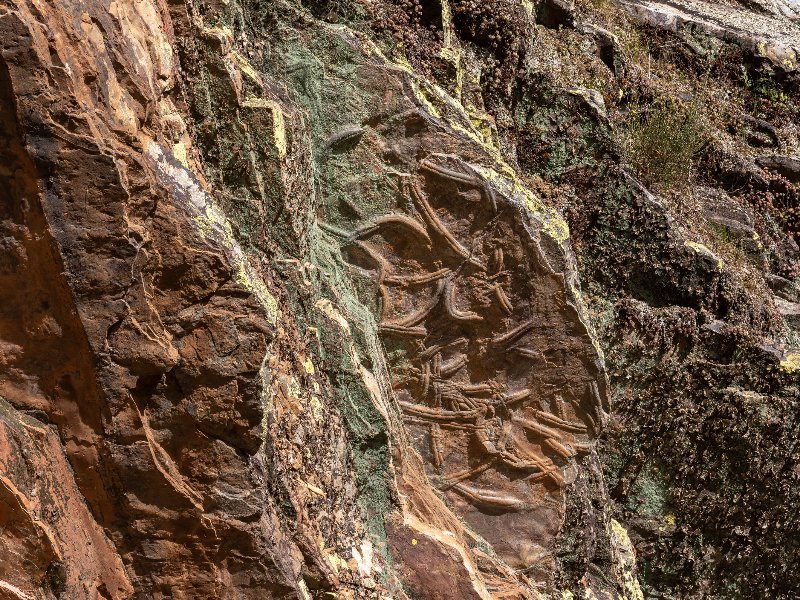 Fósseis de Penha Garcia